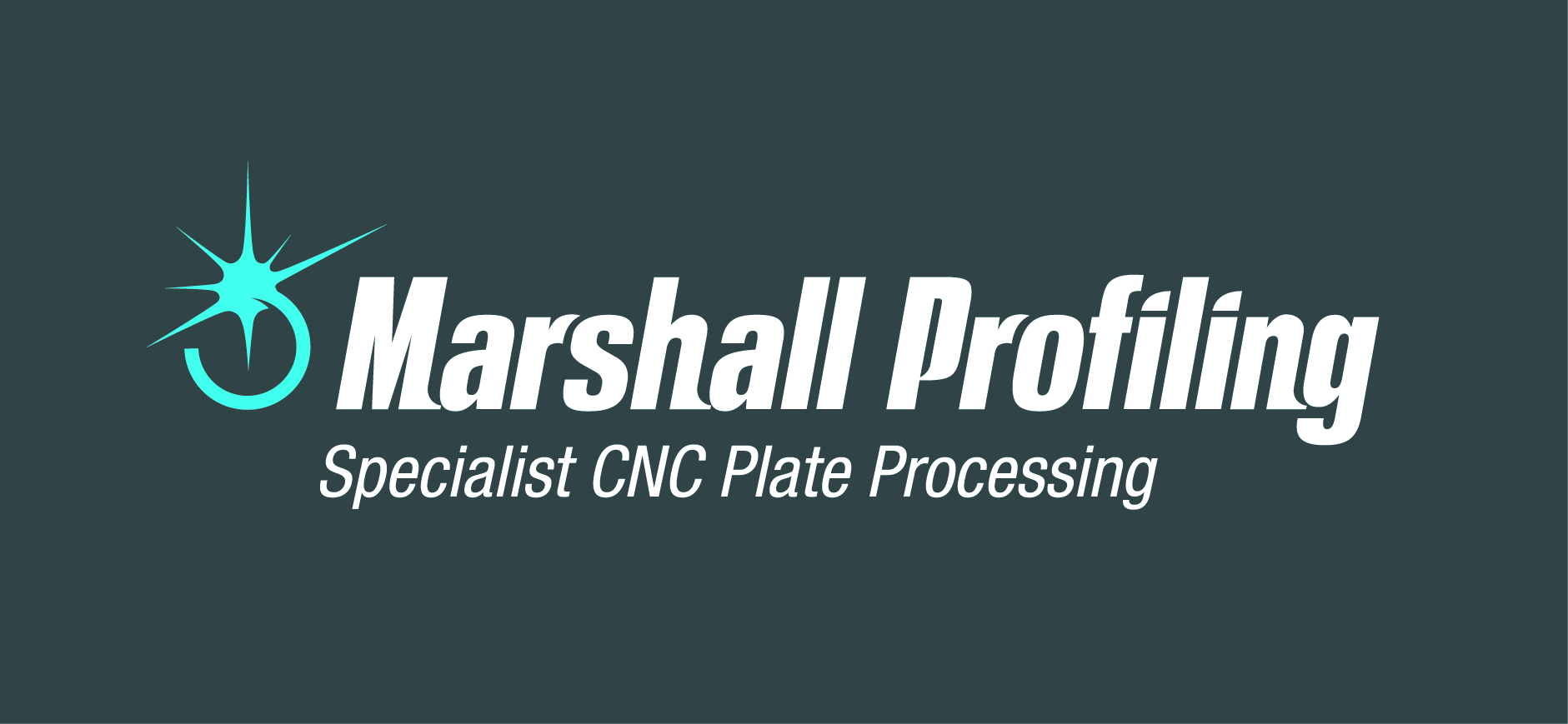 https://marshallprofiling.co.nz/wp-content/uploads/2016/07/Marshall-Profiling-reverse-CMYK-v1.jpg